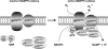 FIG. 7.