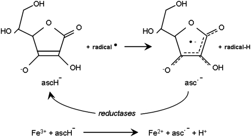 FIG. 11.