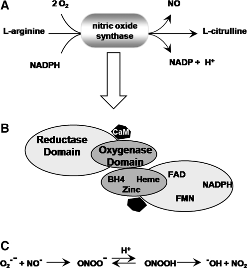 FIG. 6.