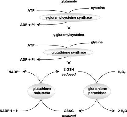 FIG. 10.