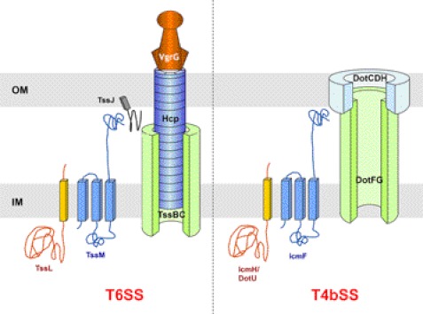 FIGURE 1.