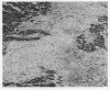 546