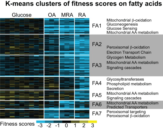 Figure 3—figure supplement 1.