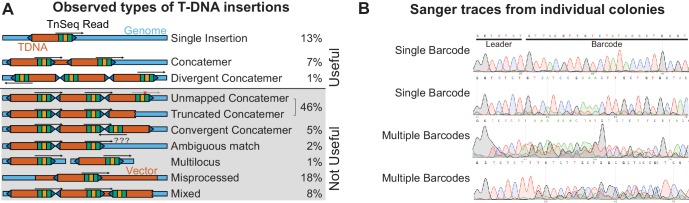 Figure 1—figure supplement 2.