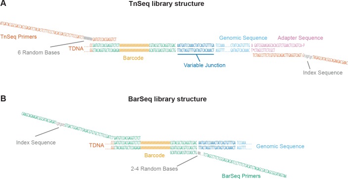 Figure 1—figure supplement 1.