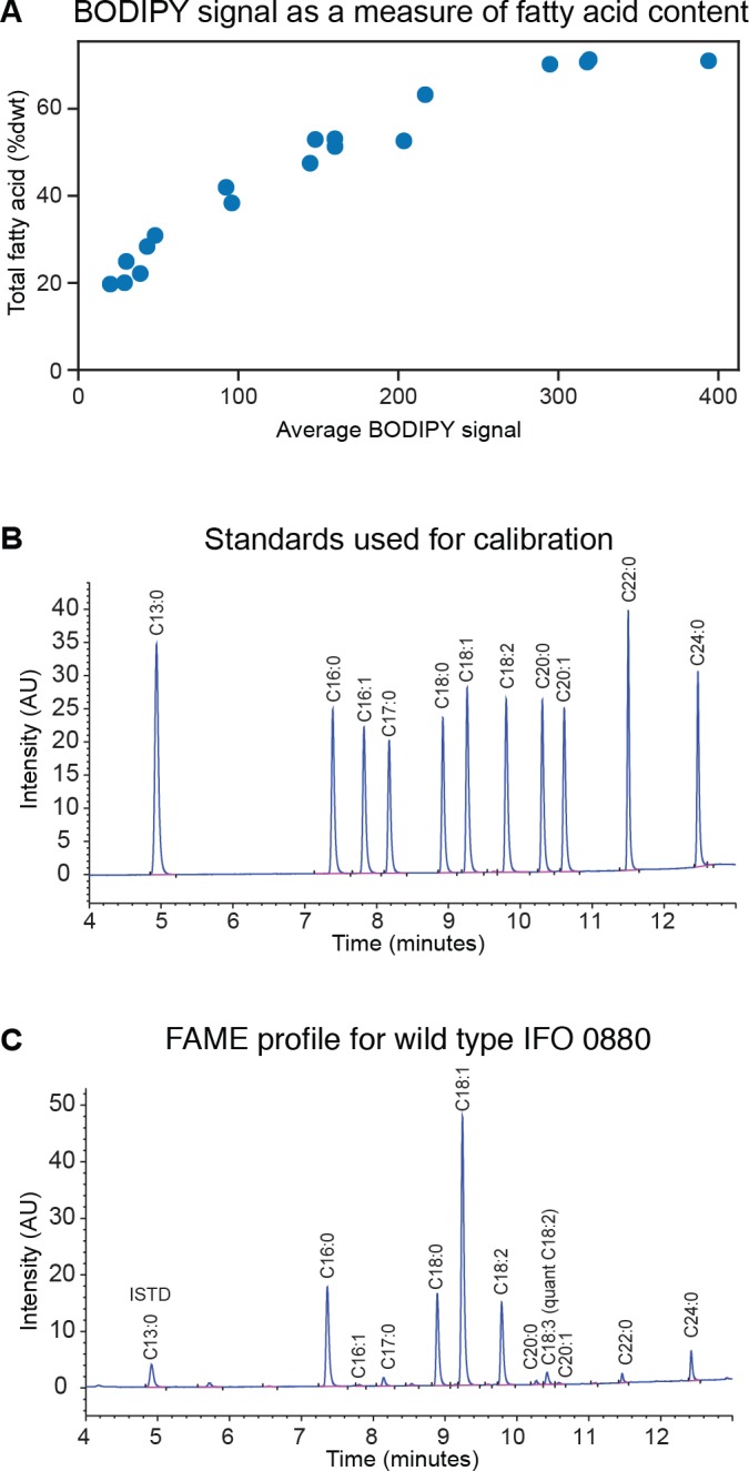 Figure 4—figure supplement 1.