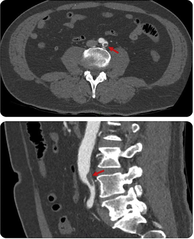 Fig. 3