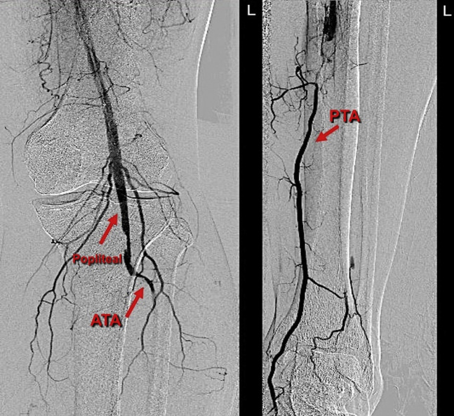 Fig. 7