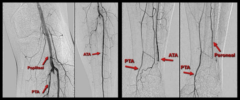 Fig. 8