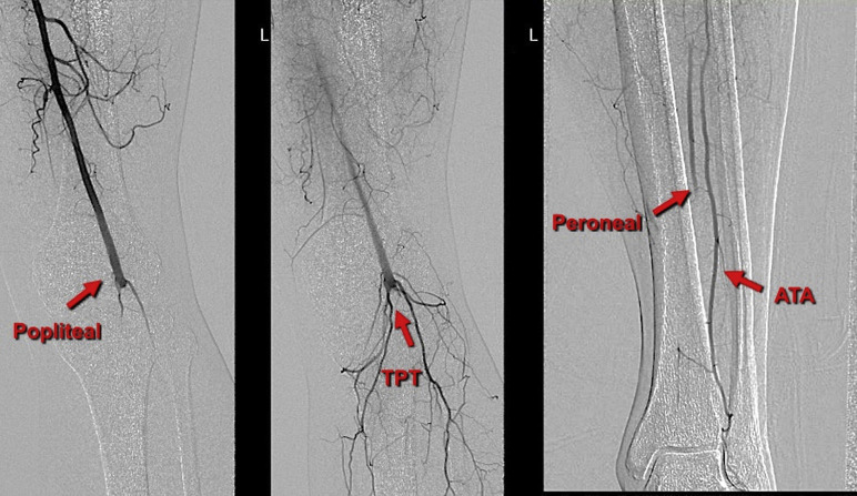 Fig. 6