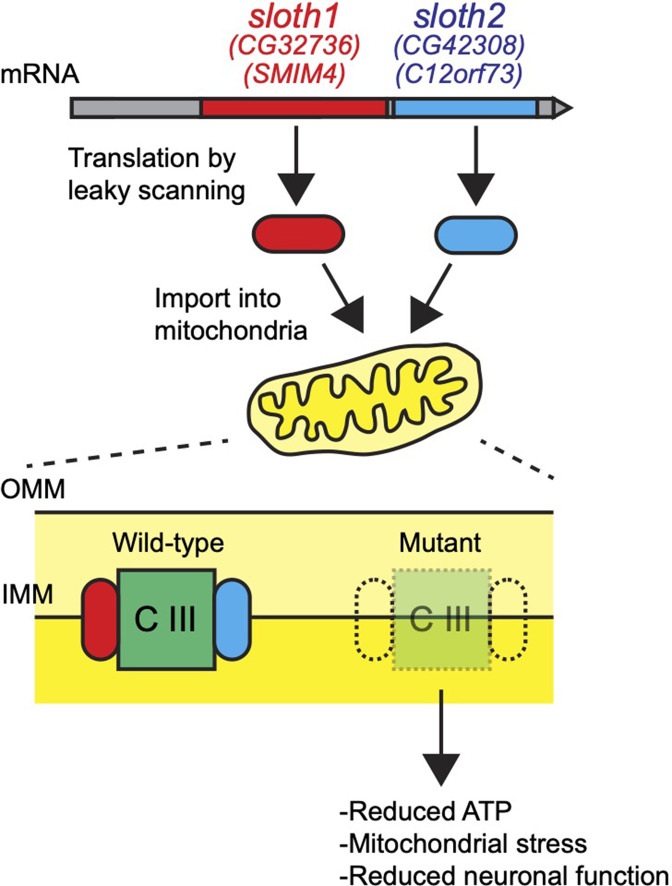 Figure 10.