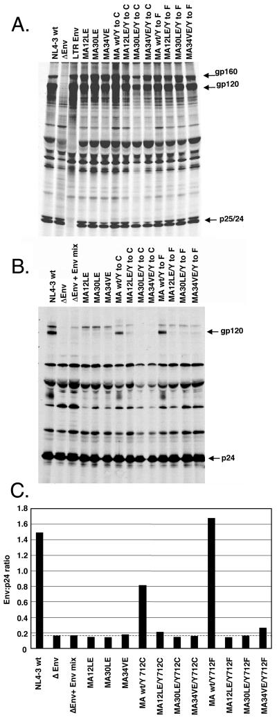 FIG. 5.