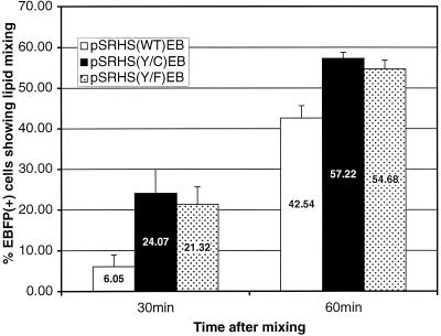 FIG. 7.