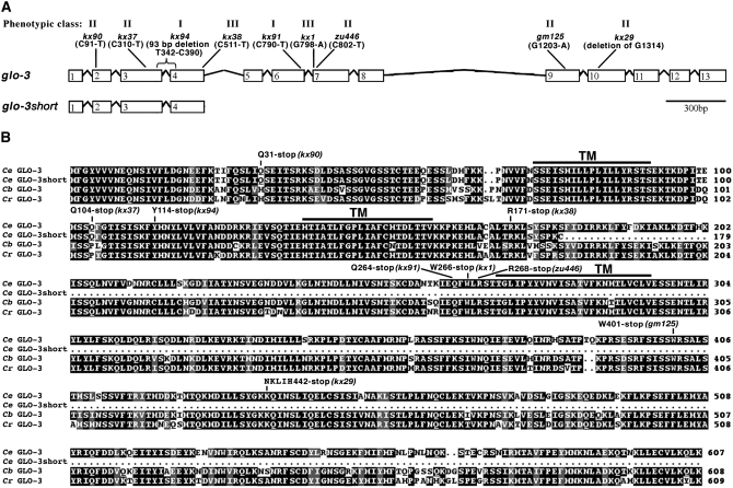 Figure 5.—