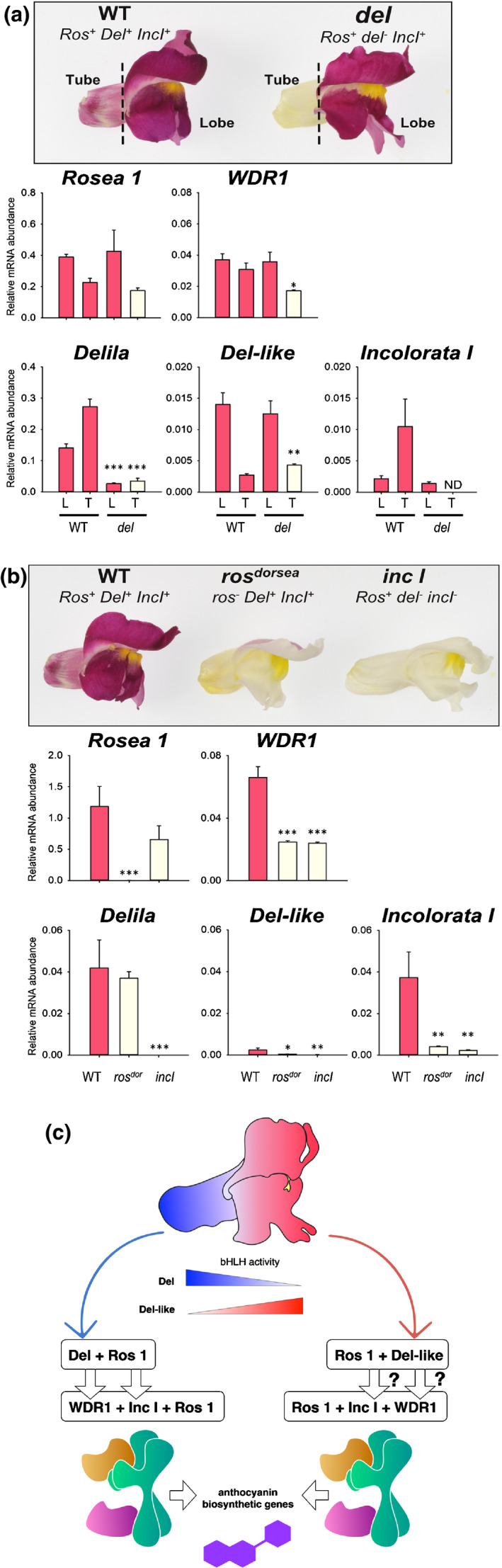 Fig. 9