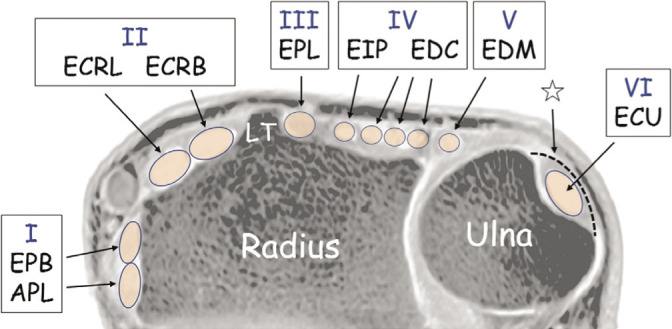 Fig. 7.