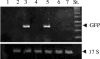 FIG. 5.
