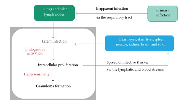 Figure 23