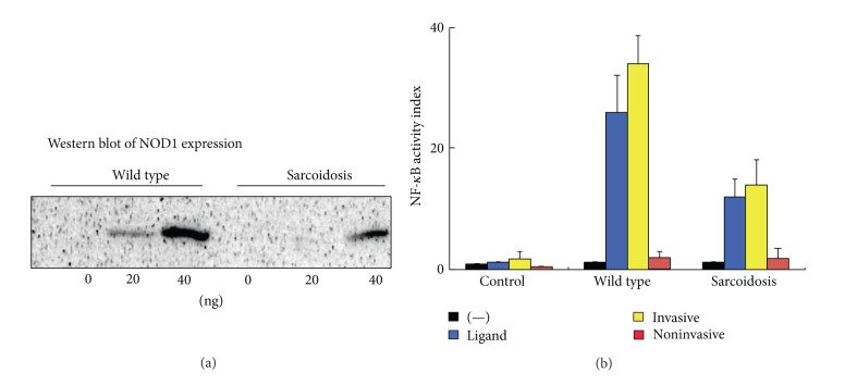 Figure 17