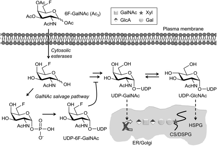 Figure 6.