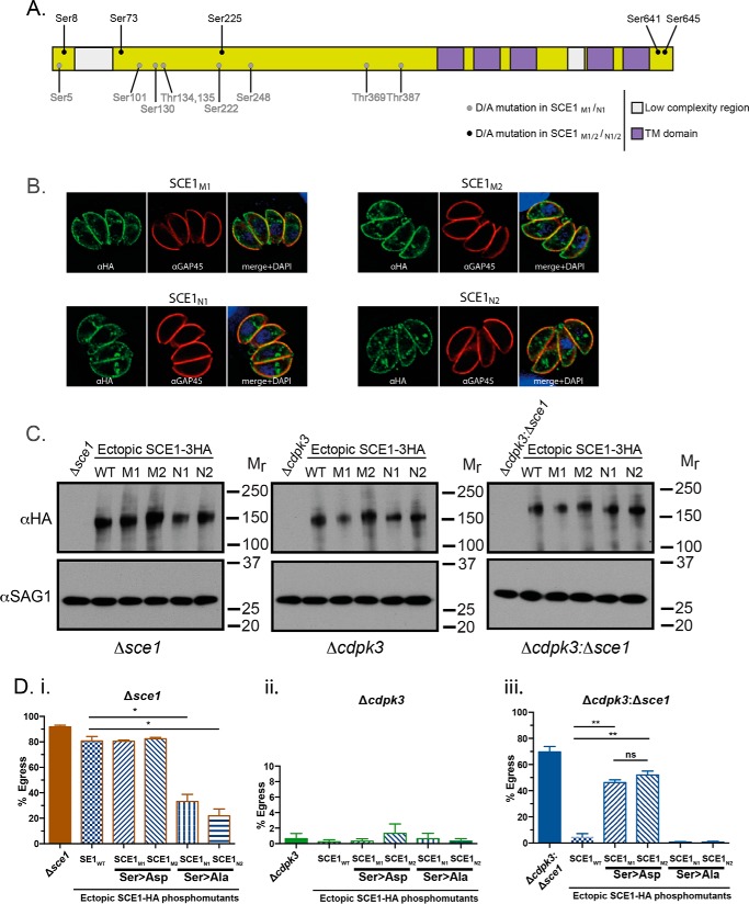 Figure 6.