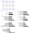 Figure 3—figure supplement 1.