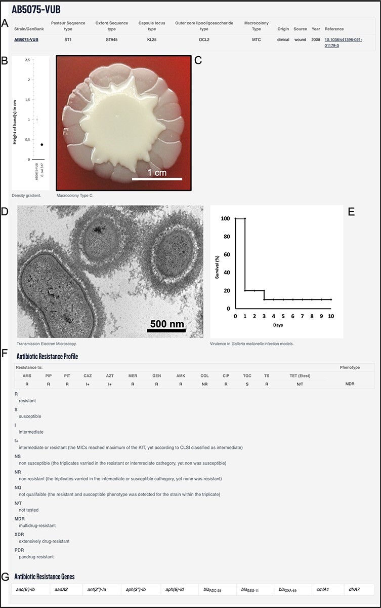 Figure 2.