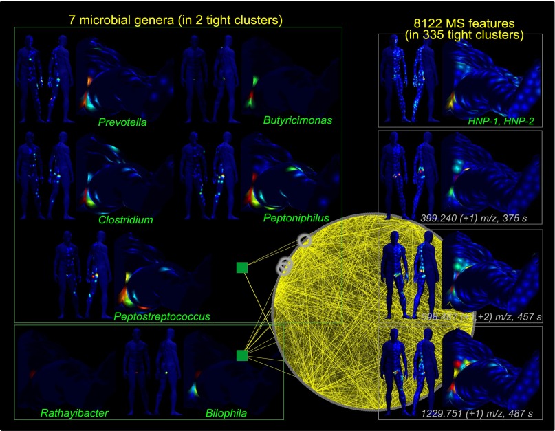 Fig. 6.