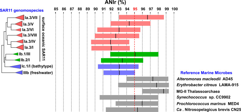 FIG 2