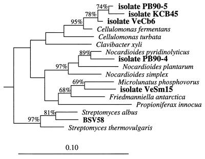 FIG. 6