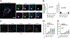 Extended Data Fig. 7 |