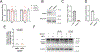 Extended Data Fig. 4 |