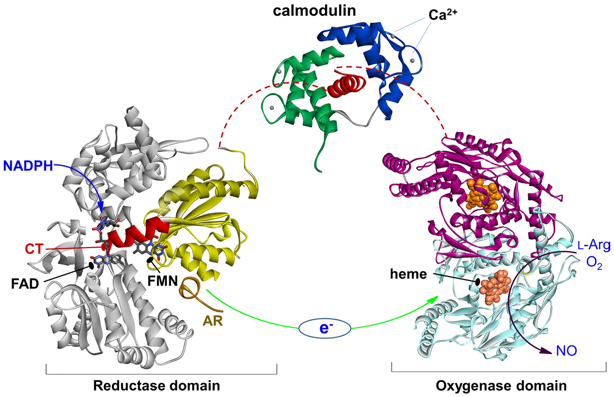 Figure 1.