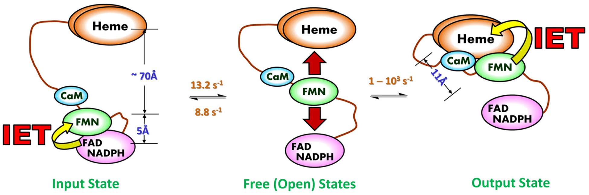 Figure 3.