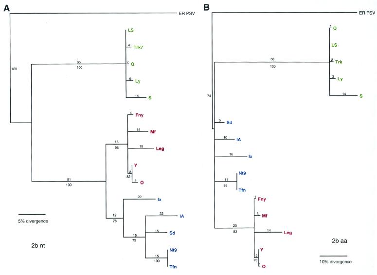 FIG. 5.