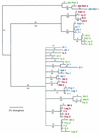 FIG. 7.