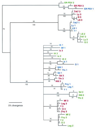 FIG. 7.