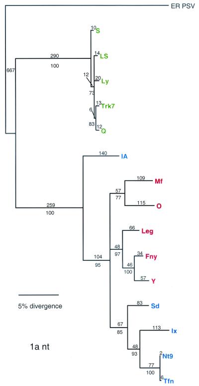 FIG. 6.