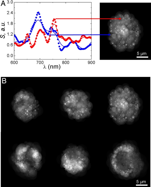 Fig. 2.