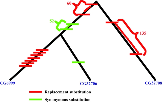 FIG. 4.—