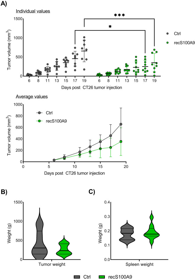 Figure 5