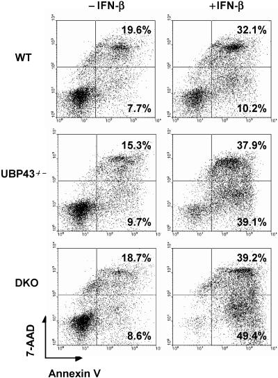 FIG. 7.