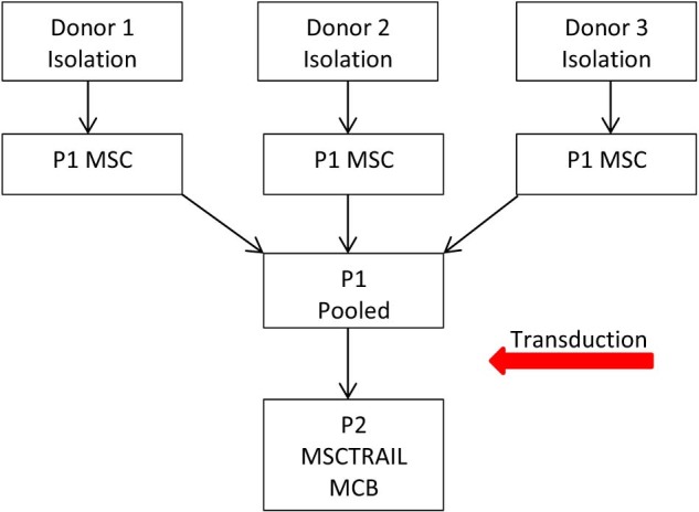 Figure 1