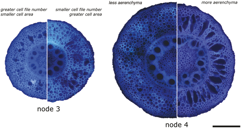 Fig. 10.