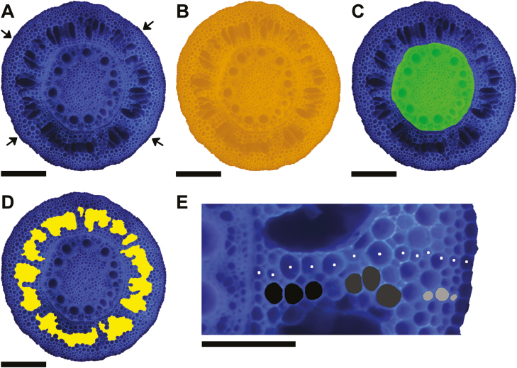 Fig. 3.