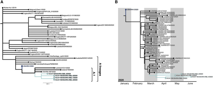 Figure 4