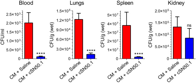 Figure 4