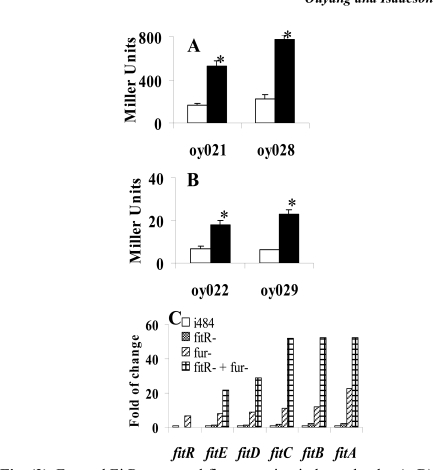 Fig. (3)