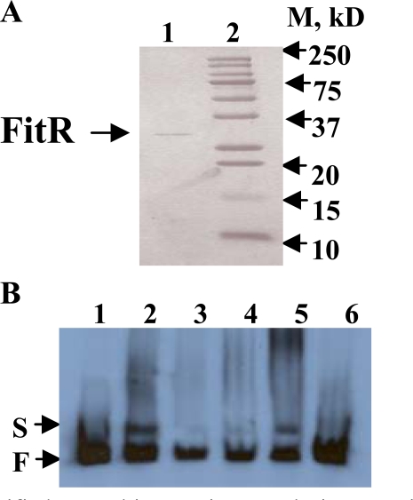 Fig. (2)