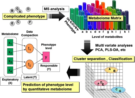 Fig. 2. Concept of metabolic fingerprinting.